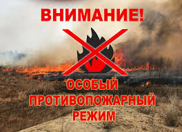 Уважаемые граждане, занимающиеся сбором дикоросов и выуживанием рыбы!.